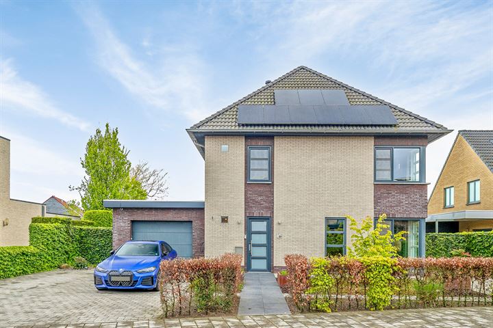 van Riebeecklaan 37 in Hulst foto