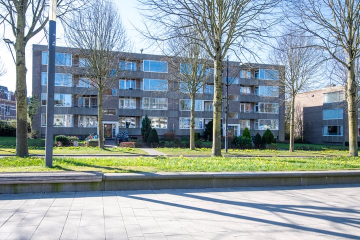 van Schaeck Mathonsingel 87 in Nijmegen foto