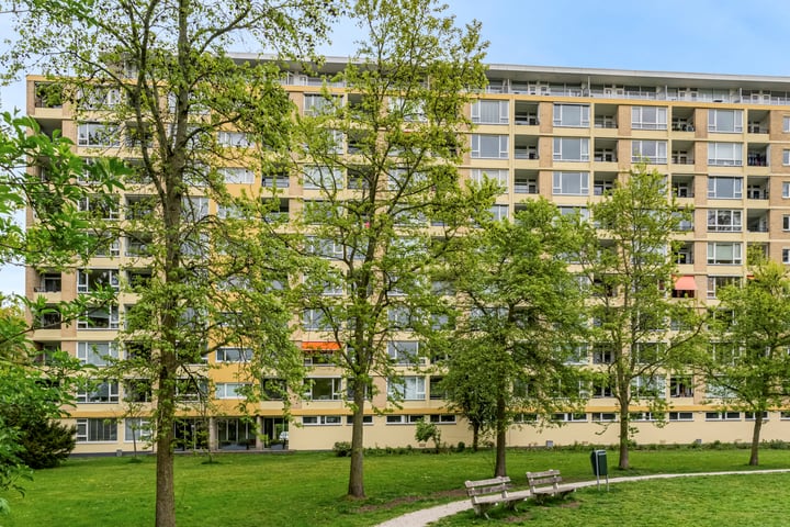 Foto van woning Van Vollenhovenplein 37, Leiden