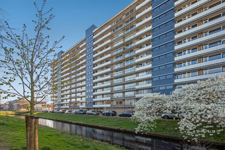 van Vredenburchweg 519 in Rijswijk foto