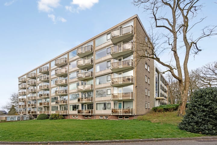 van Wassenaersheuvel 14 in Oosterbeek foto