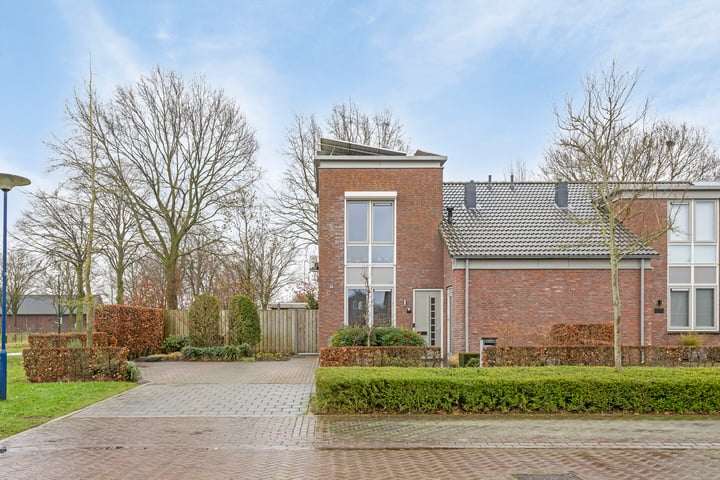 Veenmos 60 in Boekel foto