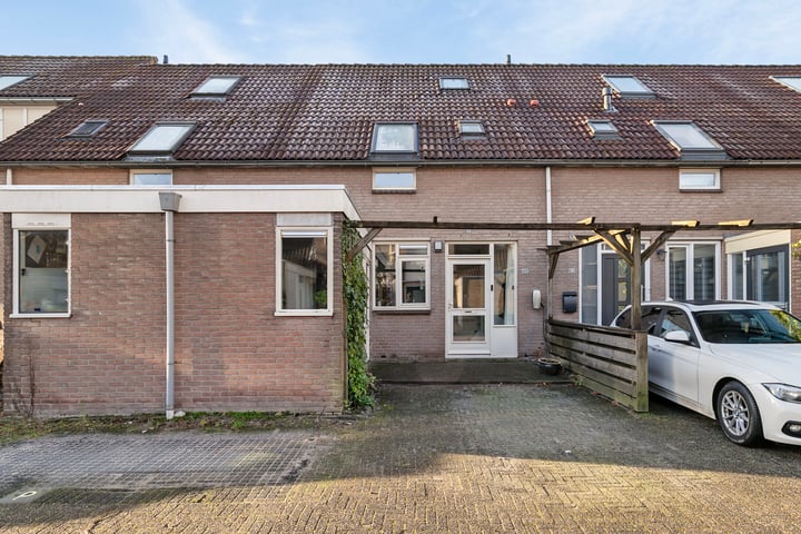 Veenmos 65 in Kampen foto