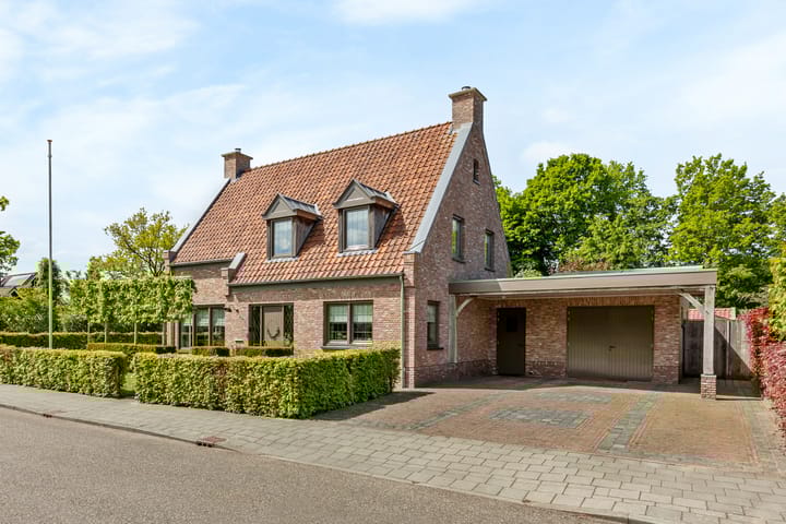 Veldleeuwerik 1 in Tubbergen