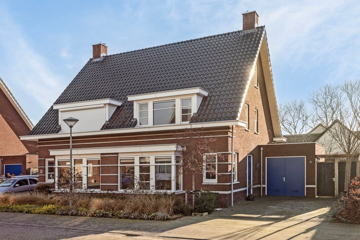Veldleeuwerik 16 in Maren-Kessel foto
