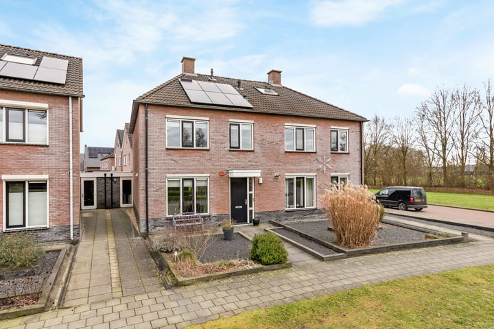 Veldleeuwerik 16 in Tubbergen foto