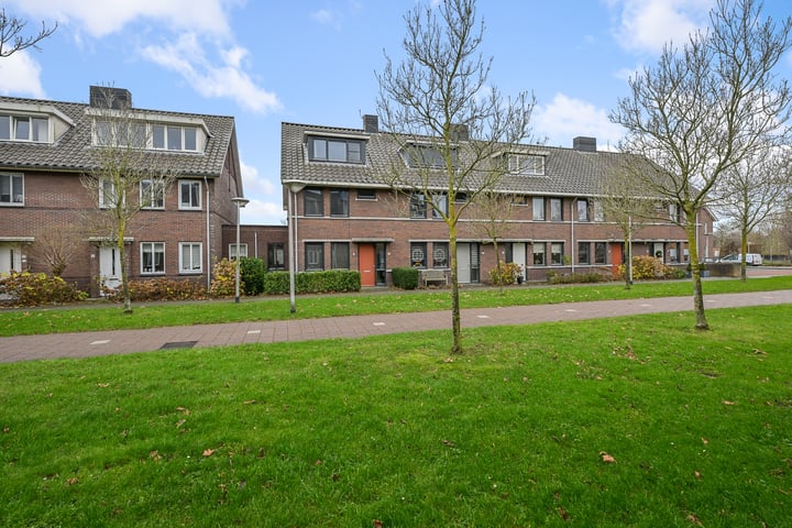Veldmuis 38 in Uithoorn foto