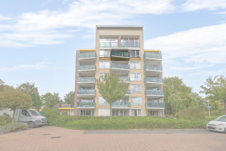Veldzuring 47 in Venlo foto
