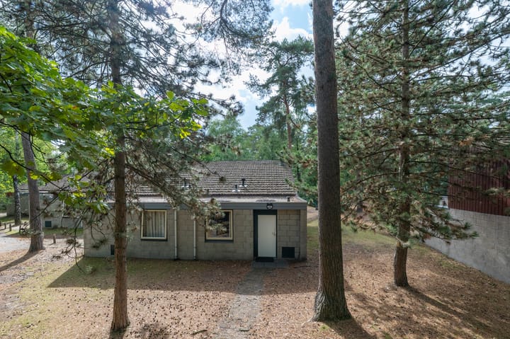 Vennenbos 440 in Hapert foto