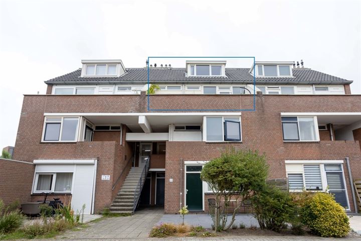Venus 18 in Katwijk foto