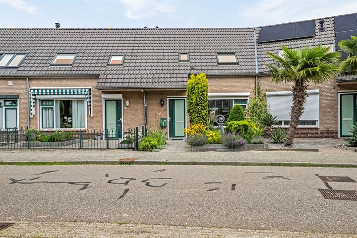 Venus 24 in Duiven foto