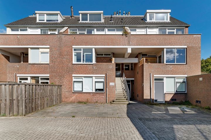 Venus 46 in Katwijk foto