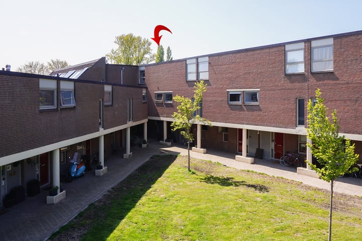 Venus 71 in Berkel en Rodenrijs foto