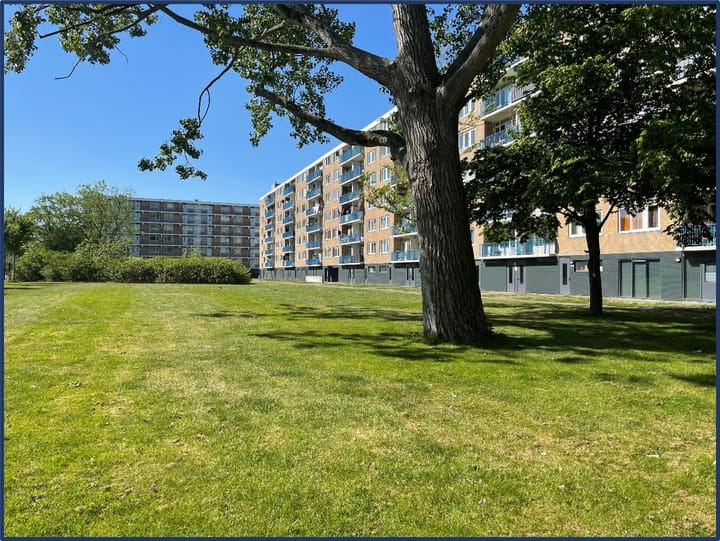 Venusstraat 374 in Alphen aan den Rijn foto