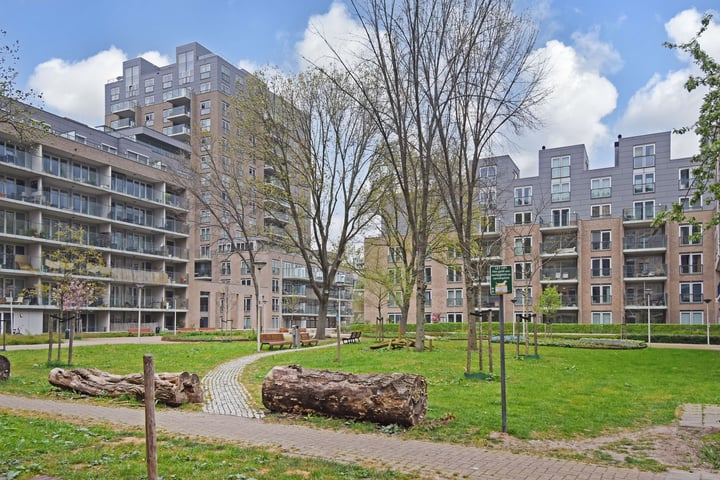 Verhulstplein 19F in 's-Gravenhage foto