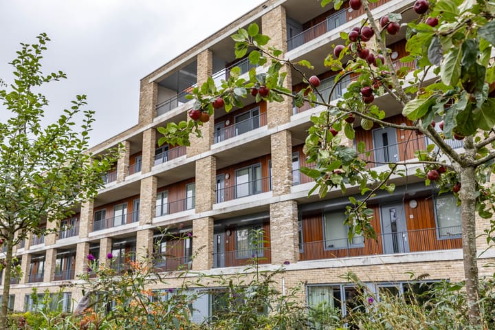 Verlengde Lodewijkstraat 144 in Groningen foto