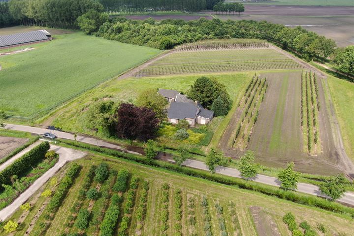 Vernhout 9 in Sint-Oedenrode foto