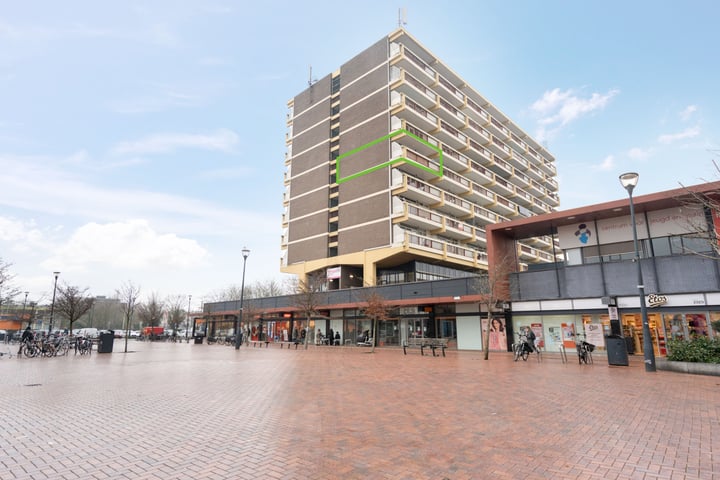 Vijf Meilaan 90 in Leiden foto