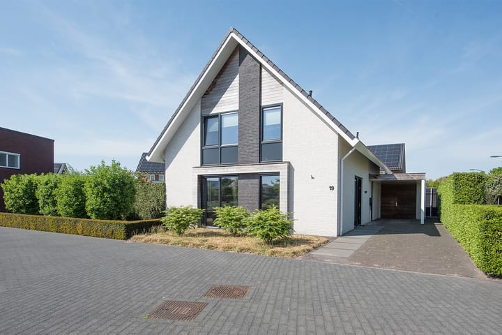 Vijfvingerkruid 19 in Berghem foto