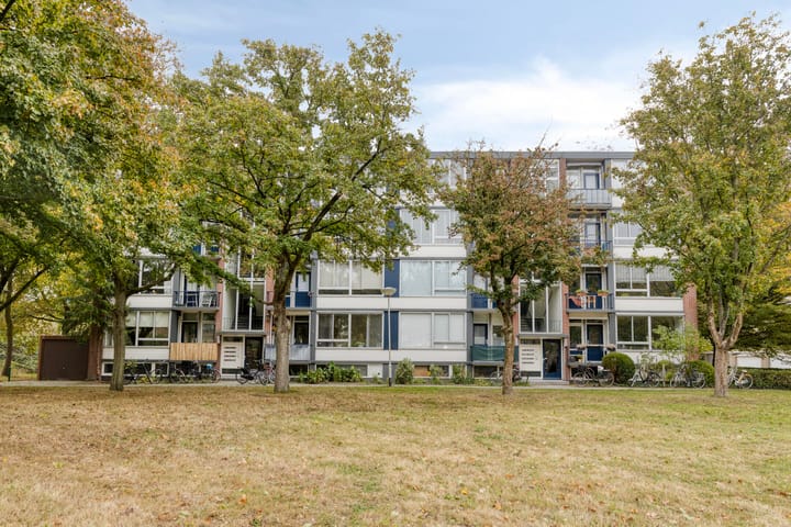 Vingerhoed 32C in Breda foto