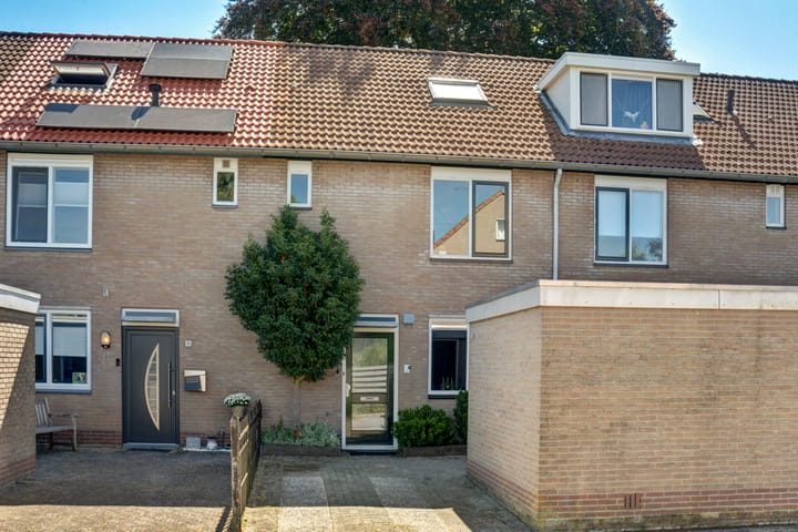 Vingerhoed 83 in Dieren foto
