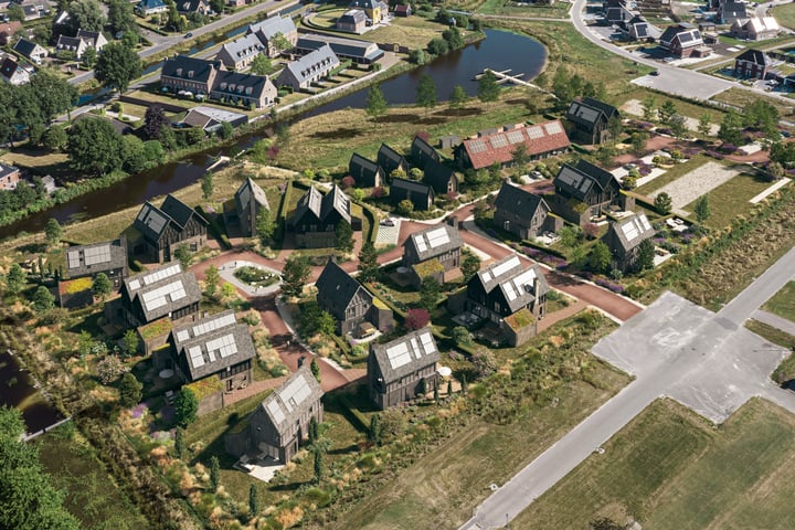 Vingerhoedskruid 12 in Leek foto