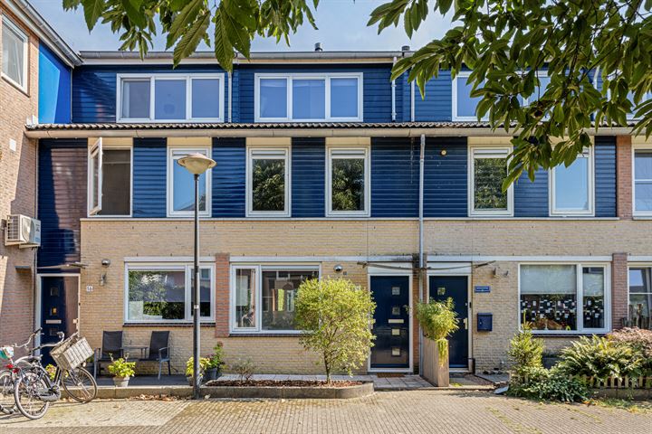Vingerhoedskruid 14 in Amersfoort foto