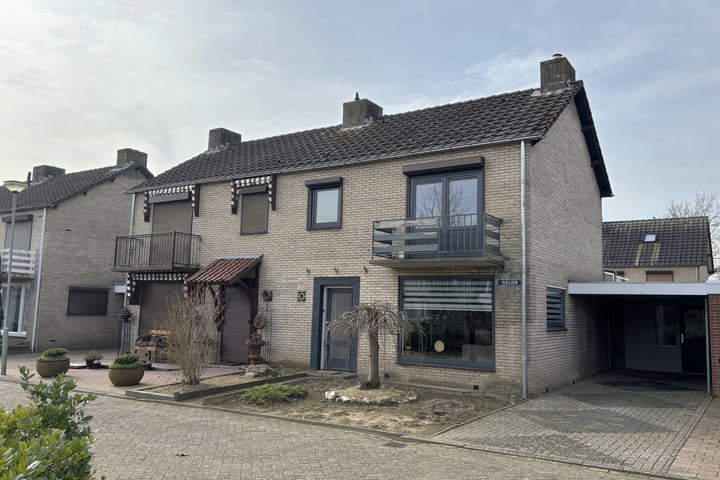 Violier 16 in Haelen foto