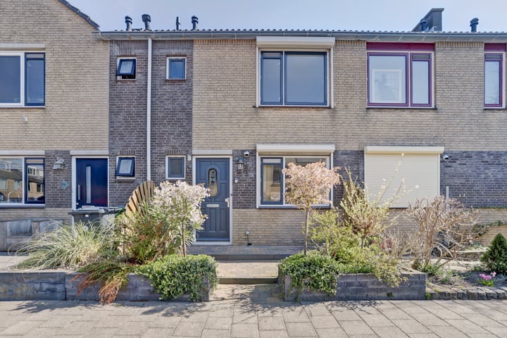Viool 74 in De Lier foto