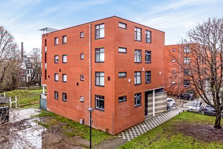 Virulypad 67 in Leiden foto