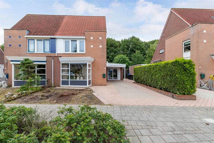 Visarend 7 in Tollebeek foto