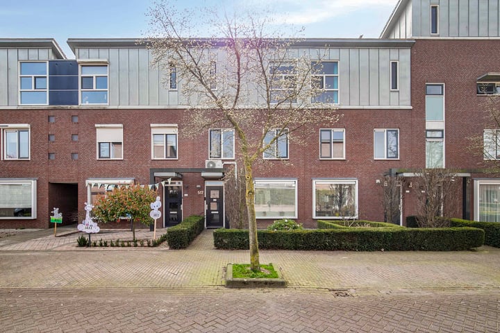 Visven 517 in Veghel foto