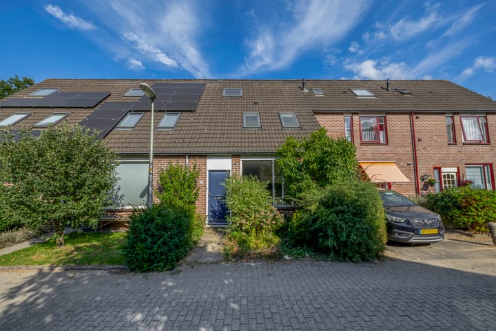 Vlaamse gaai 43 in Deventer foto