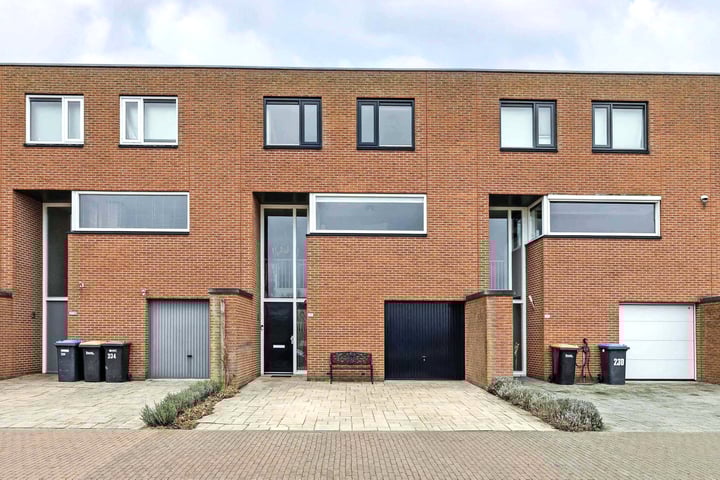 Vliegent Hert 232 in Lelystad foto