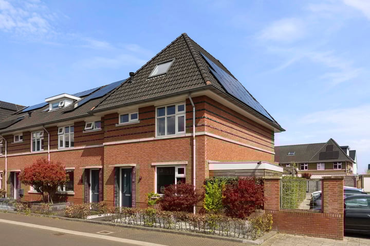 Vliegenzwam 82 in Apeldoorn foto