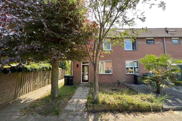 Voetakker 1 in Zaltbommel foto