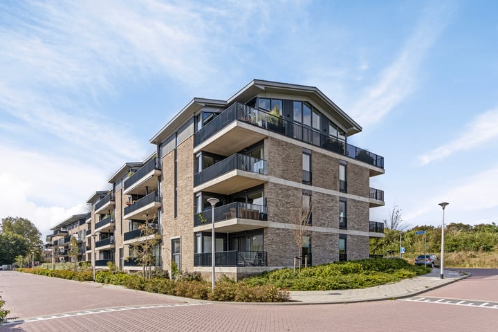 Vogelenveld 53 in De Zilk foto