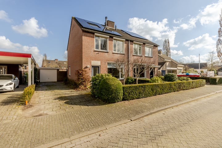Vogelkers 4 in Helvoirt foto