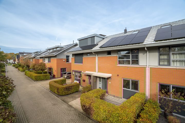 Vogelvlinder 6 in Enschede foto