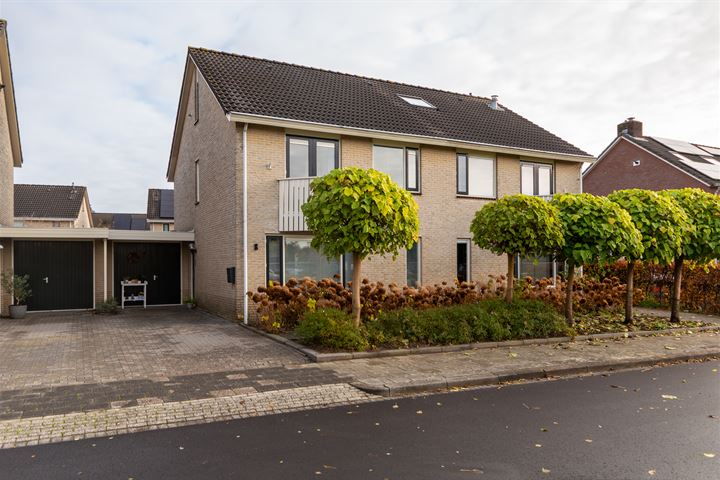 Vogelwikke 8 in Roden foto