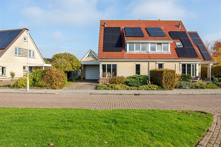 Vogelzwin 27 in Sneek foto