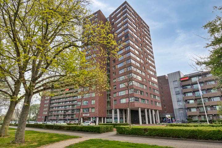 Vredehoflaan 286 in Vlissingen foto