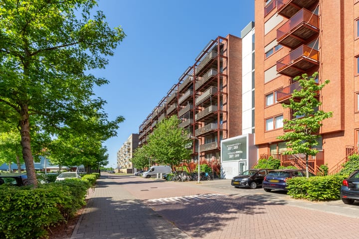 Vurehout 305 in Zaandam foto
