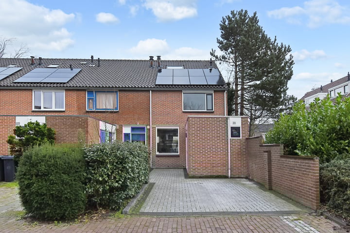 Vuurdoorn 20 in Naaldwijk foto