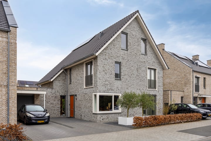 Vuurlibel 10 in Son en Breugel foto
