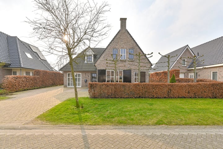 Vuurvlinder 6 in Emmen foto