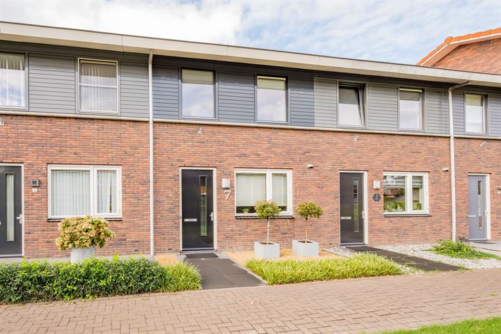Vuurvlinder 7 in Nijkerk foto