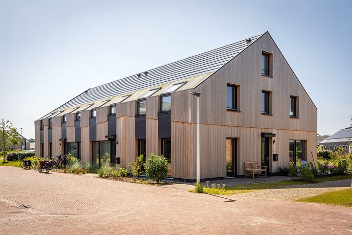 Vuurvlinder 85 in Den Burg foto