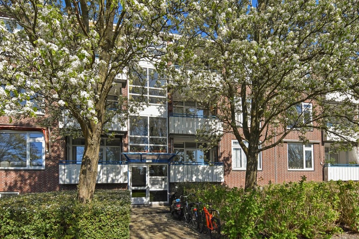 W.H. van Leeuwenlaan 102 in Delft foto