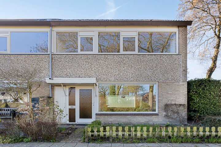 Wadestein 2 in Oosterhout foto
